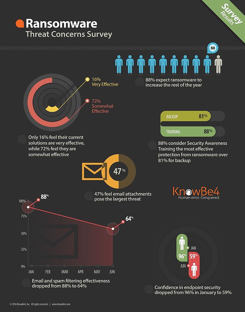 Ransomware Threat Concerns Survey