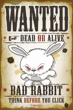 BadRabbit Ransomware