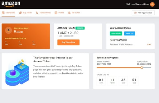 Amazon scam portfolio page