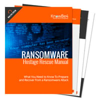 Ransomware-Hostage-Rescue-Manual