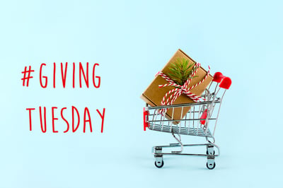 Giving Tuesday Charity Scams