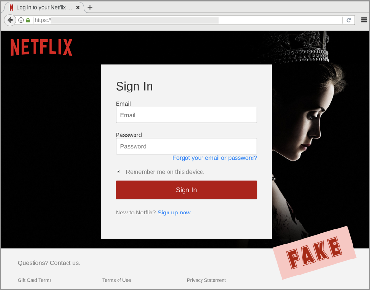 Netflix phishing site