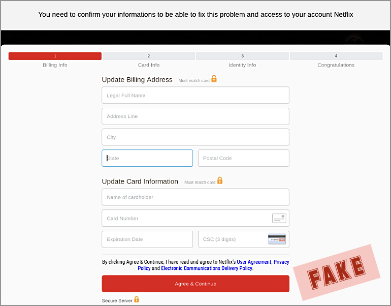 fake Netflix credit card stealing phish