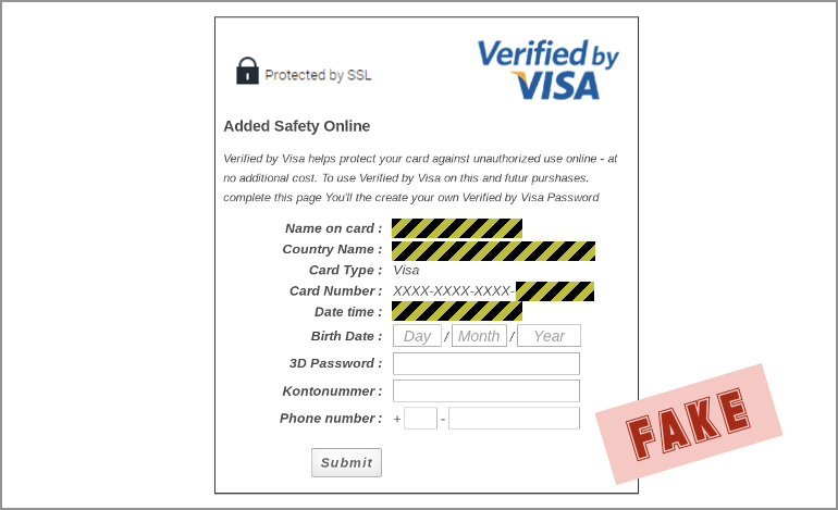 fake Visa verification page