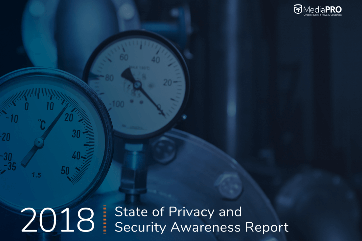 2018-state-privacy-security-awareness-report_724x483